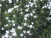 788c3927-Picture 005.jpg
